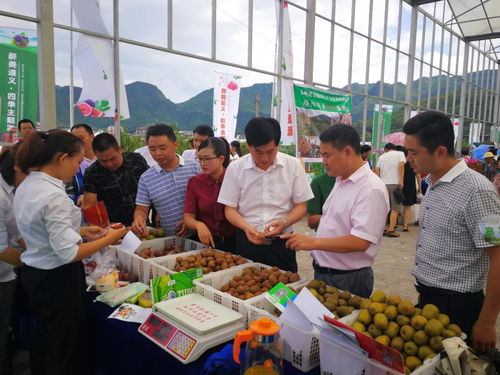 醉美遵義 四季主題游 暨渝客入遵 百日行動 秋季采摘體驗游啟動儀式及系列活動在綏隆重舉行