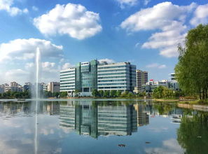 迎浦東開(kāi)發(fā)開(kāi)放27周年系列 企業(yè)為何而來(lái) 這里有 最適合創(chuàng)業(yè)的土壤